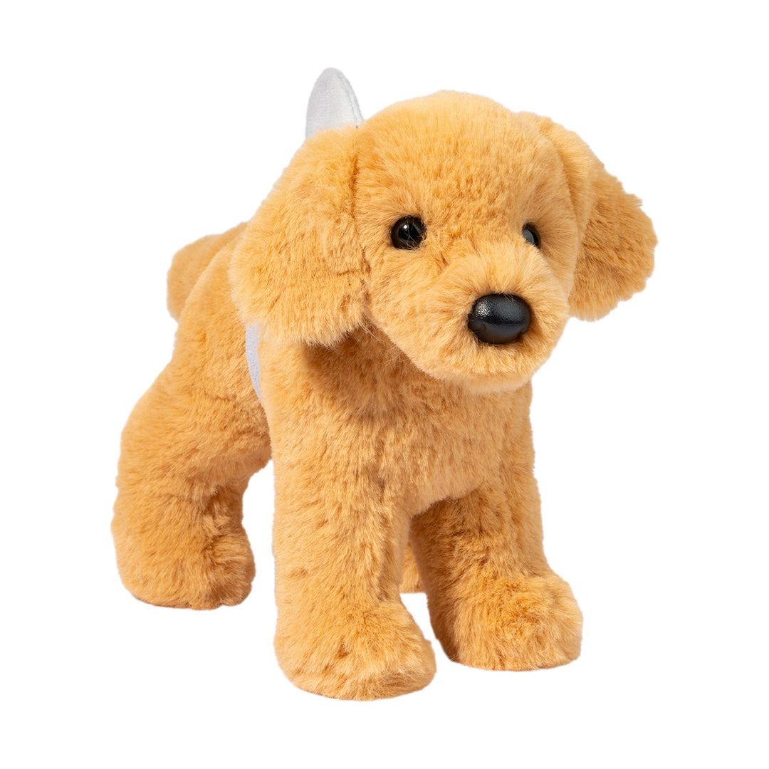 Sharky Golden Retriever