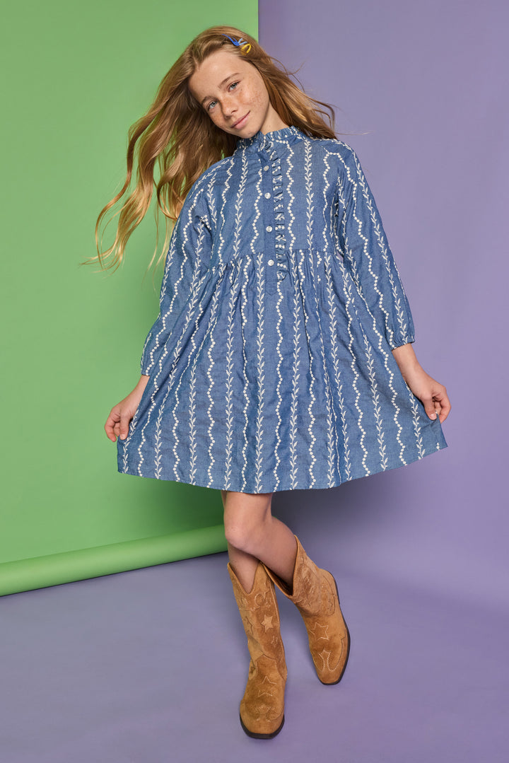 Amelia Dress | Chamonix Chambray Embroidery