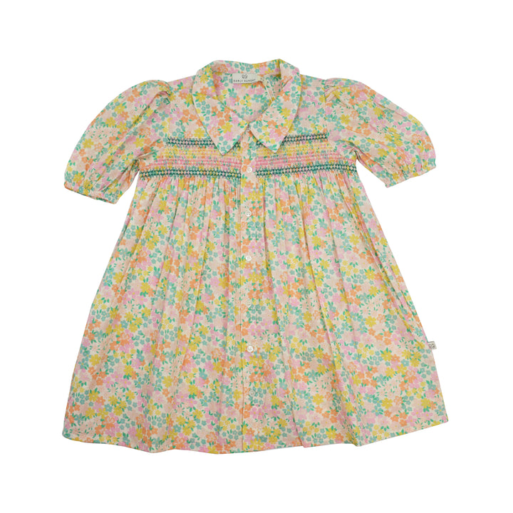 Floral dress with a collar on a white background