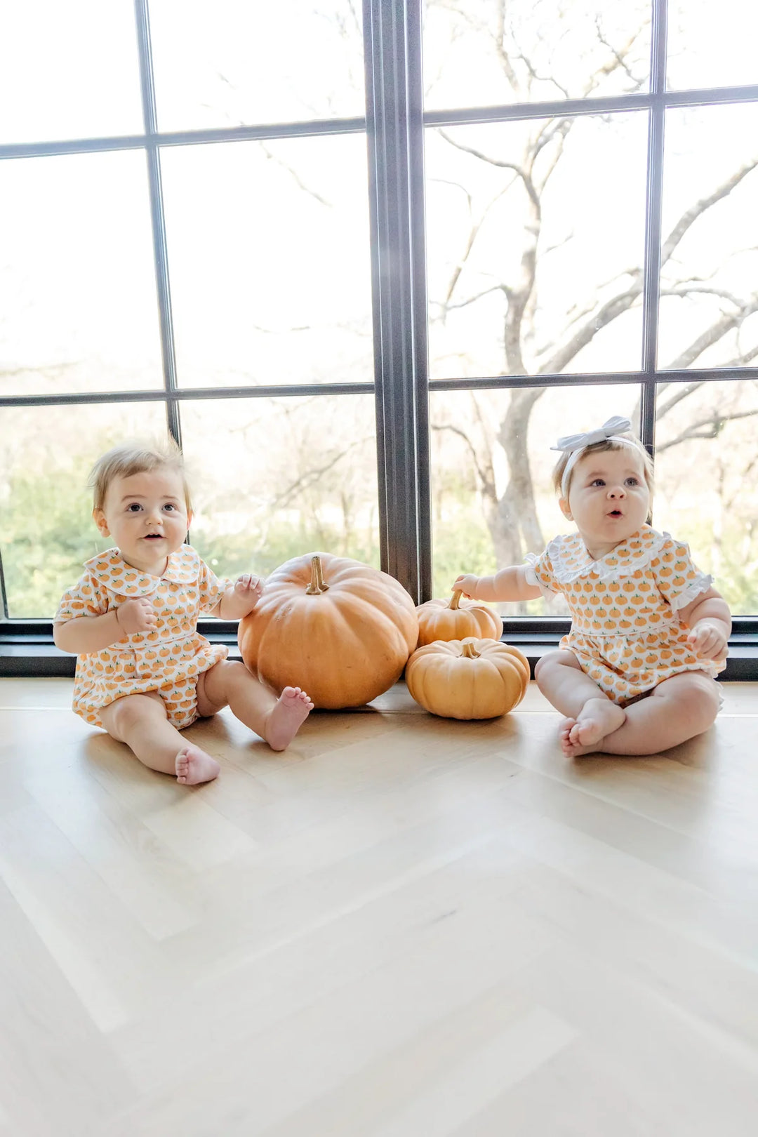 Palmer Bubble | Harvest Pumpkins