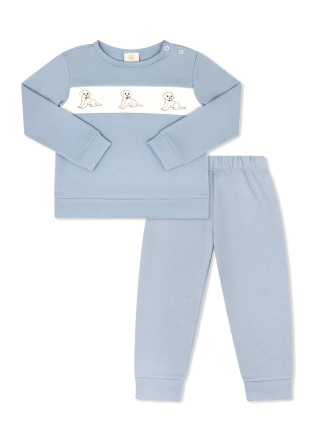 Light blue children's play set with a front puppy dog design on a white background