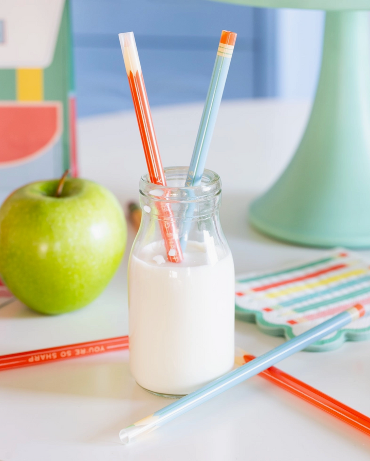 Colored Pencil Reusable Straws