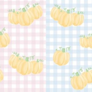 Stewart Shorts | Pumpkin Knit (12M, 18M, 24M)