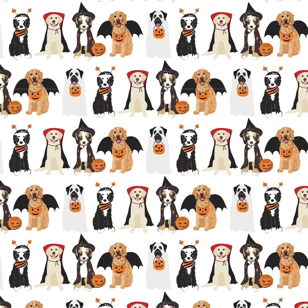 Lila + Hayes Halloween Pups