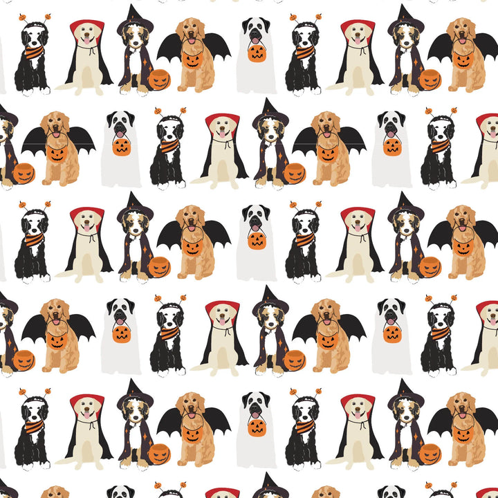 Lila + Hayes Halloween Pups