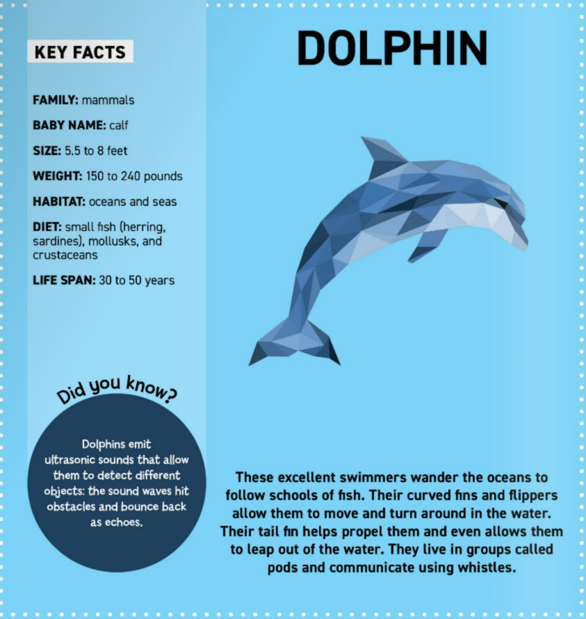 Sticker Painting | Ocean Animals