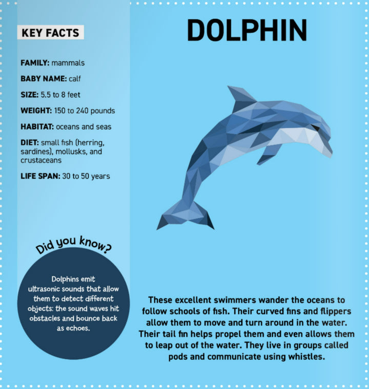 Sticker Painting | Ocean Animals
